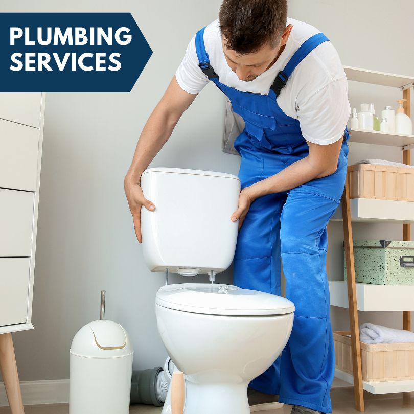 Plumbing Company in Hills, IA